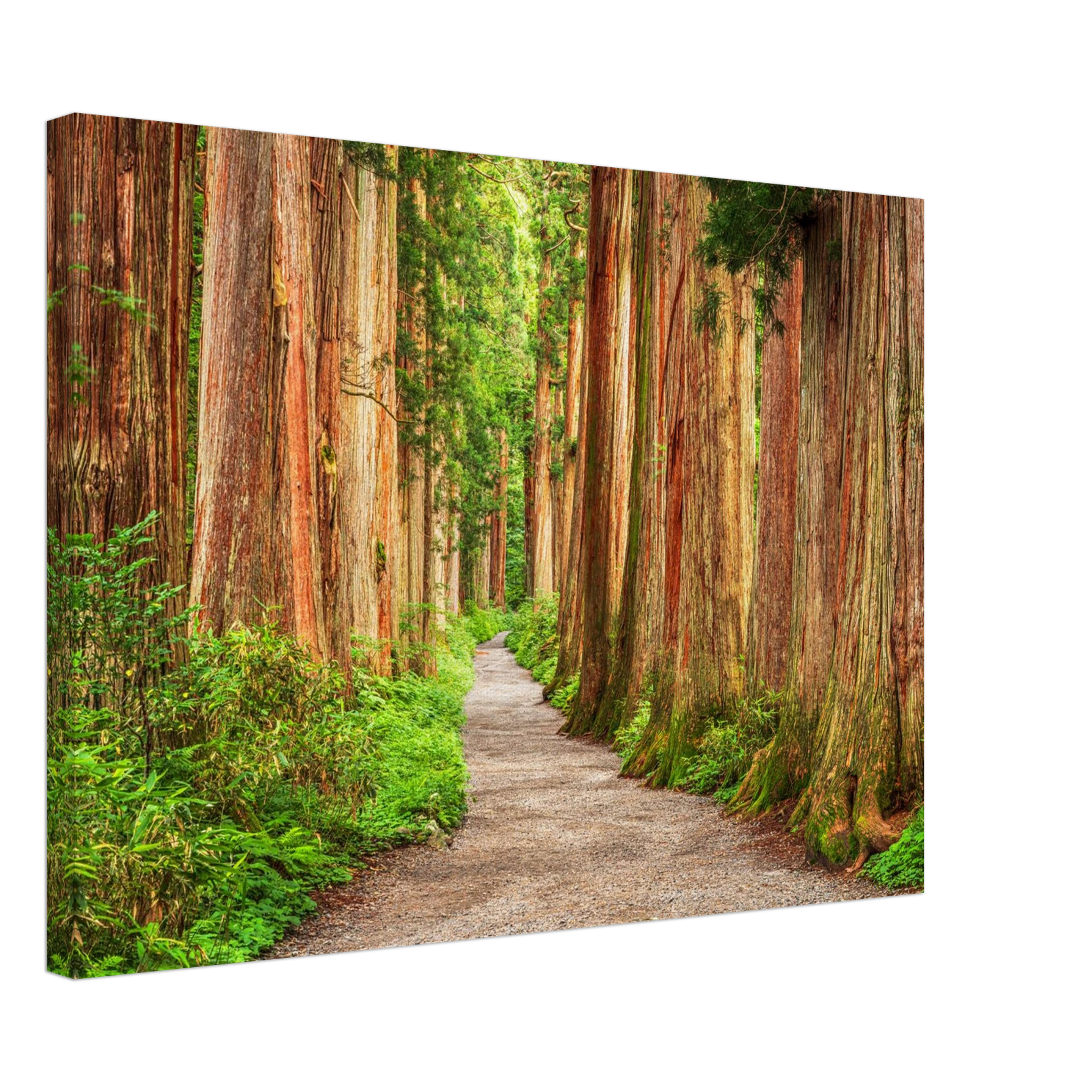 025ef929-01f7-4b1d-a663-f800c2d490bd