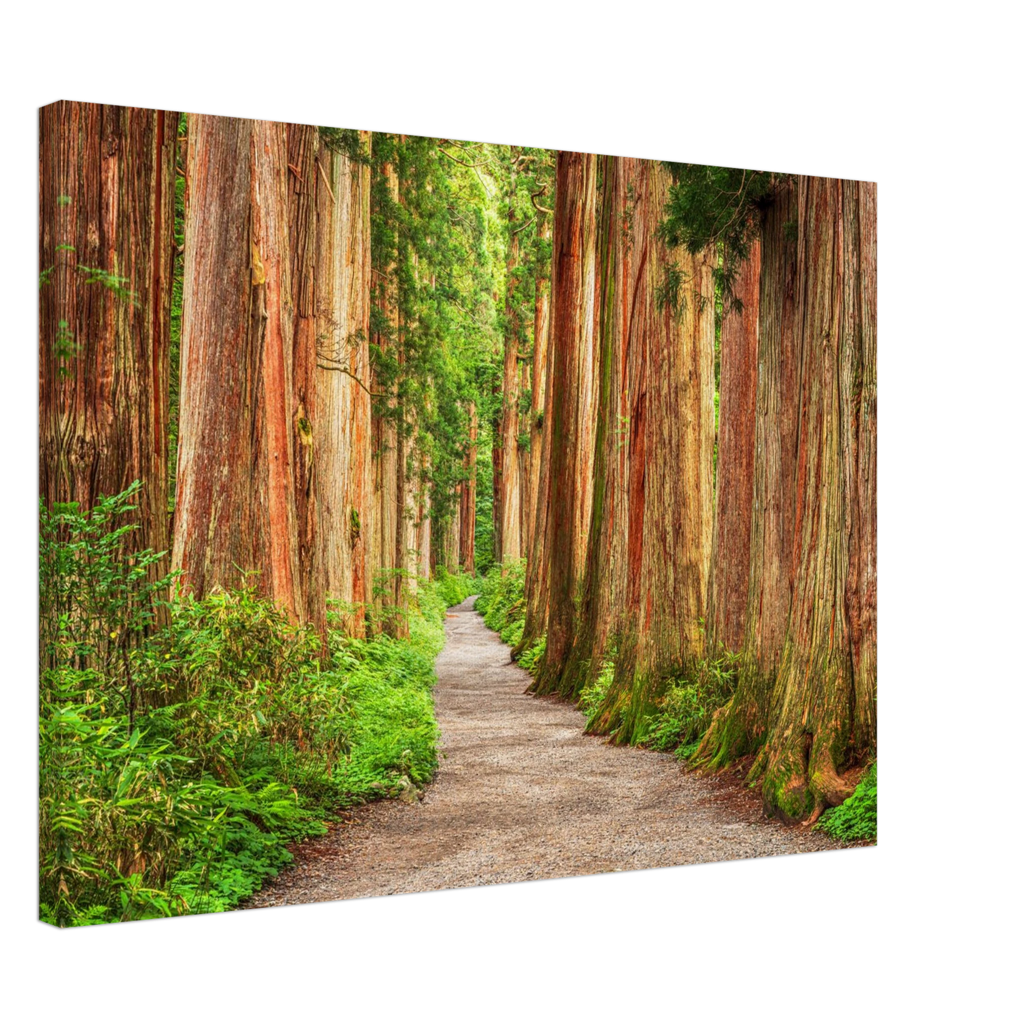 1b405e93-1376-43c3-b1b3-a02680e3f81d