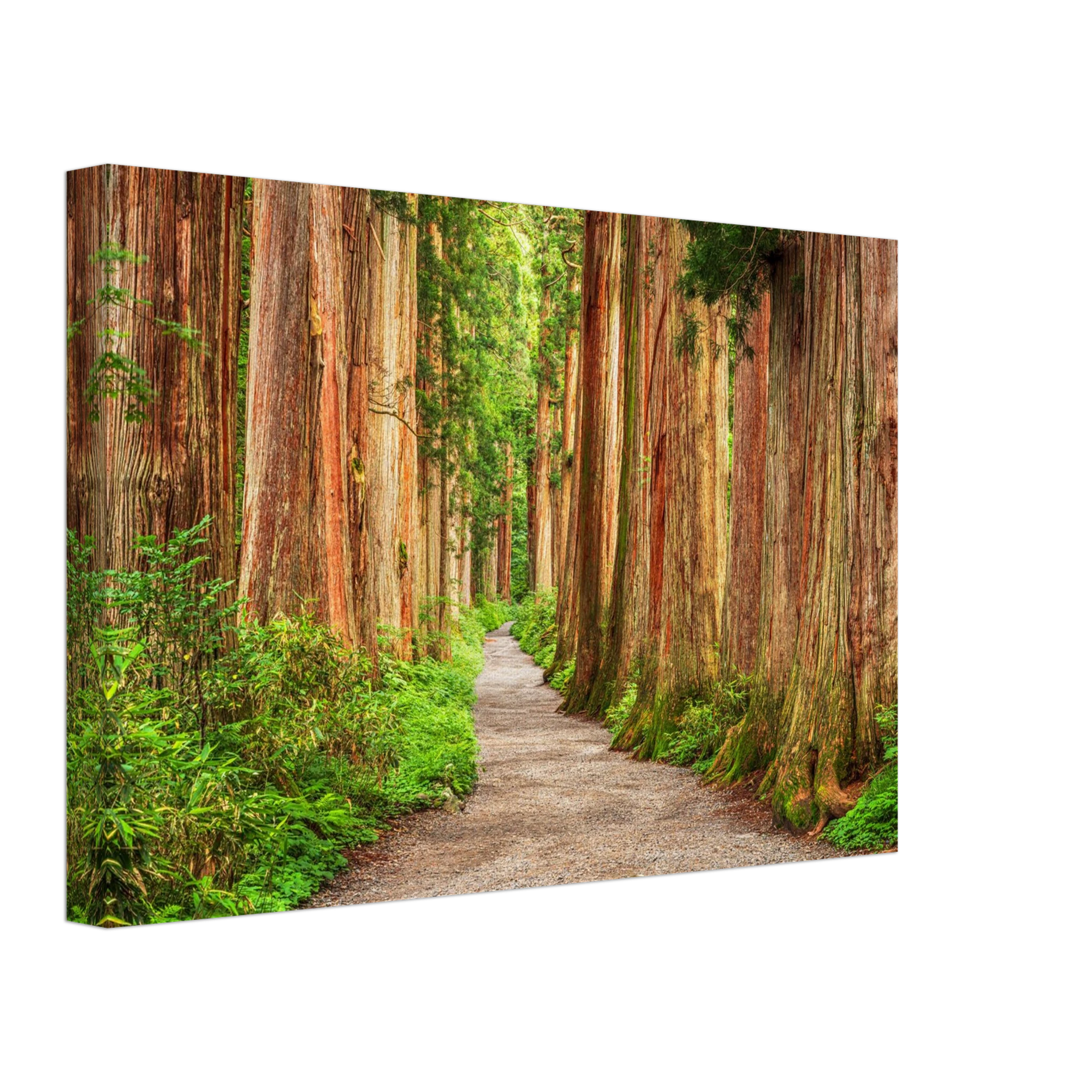 237f6bba-827c-4ba6-92c1-3b8163c5d667