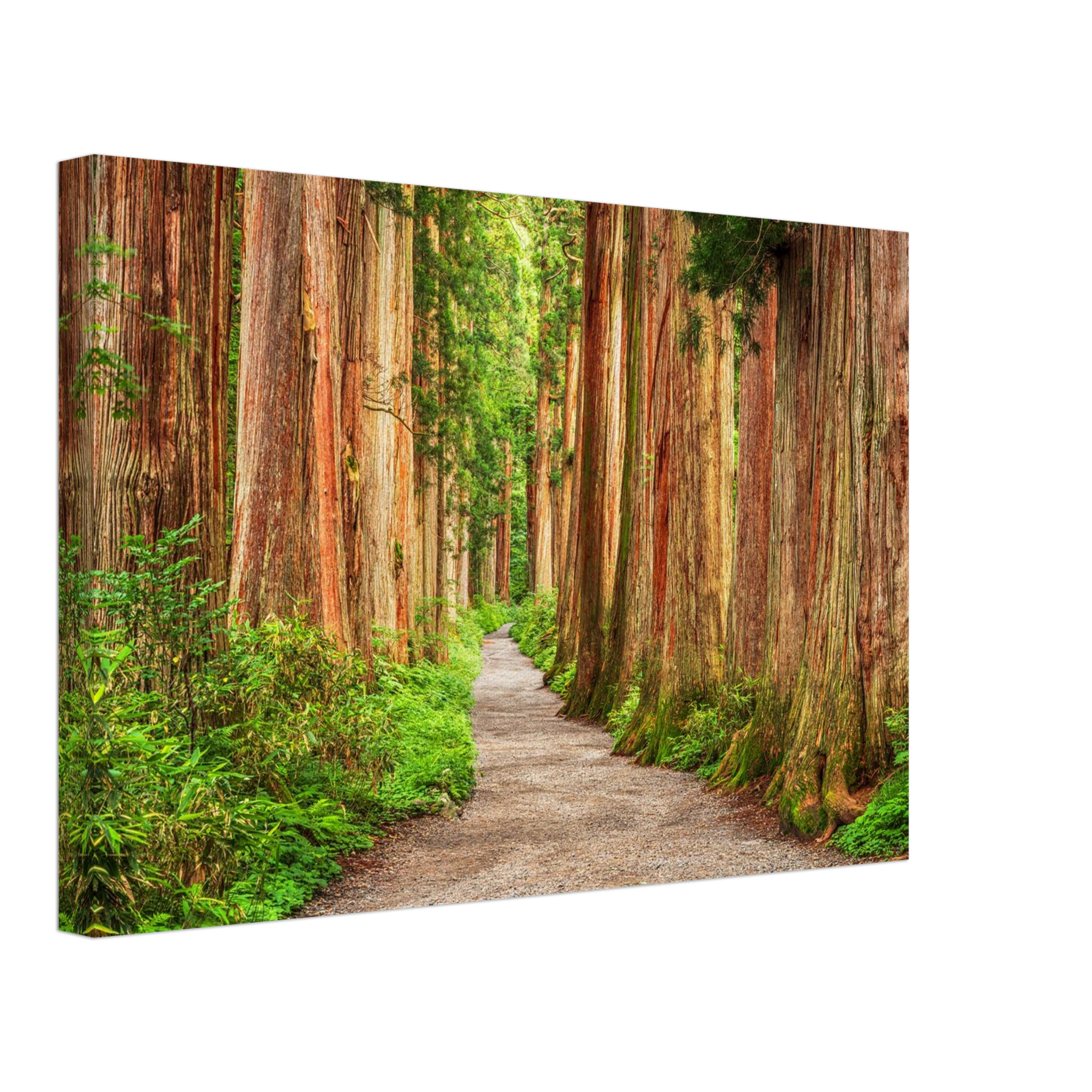 248007c1-e794-4377-b637-b2d4ed3eef22