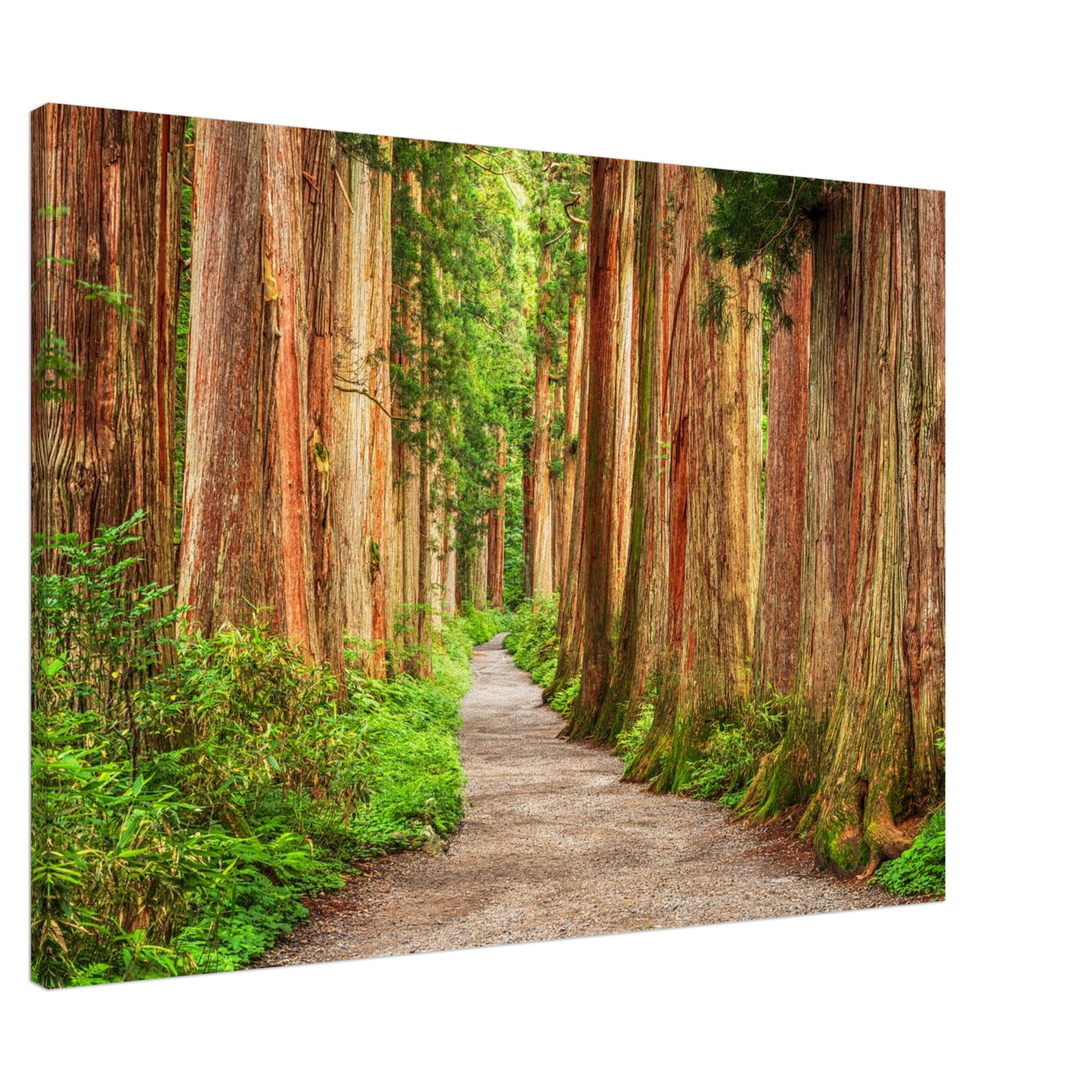 2c120927-a6a7-491b-b821-bebf90d316da