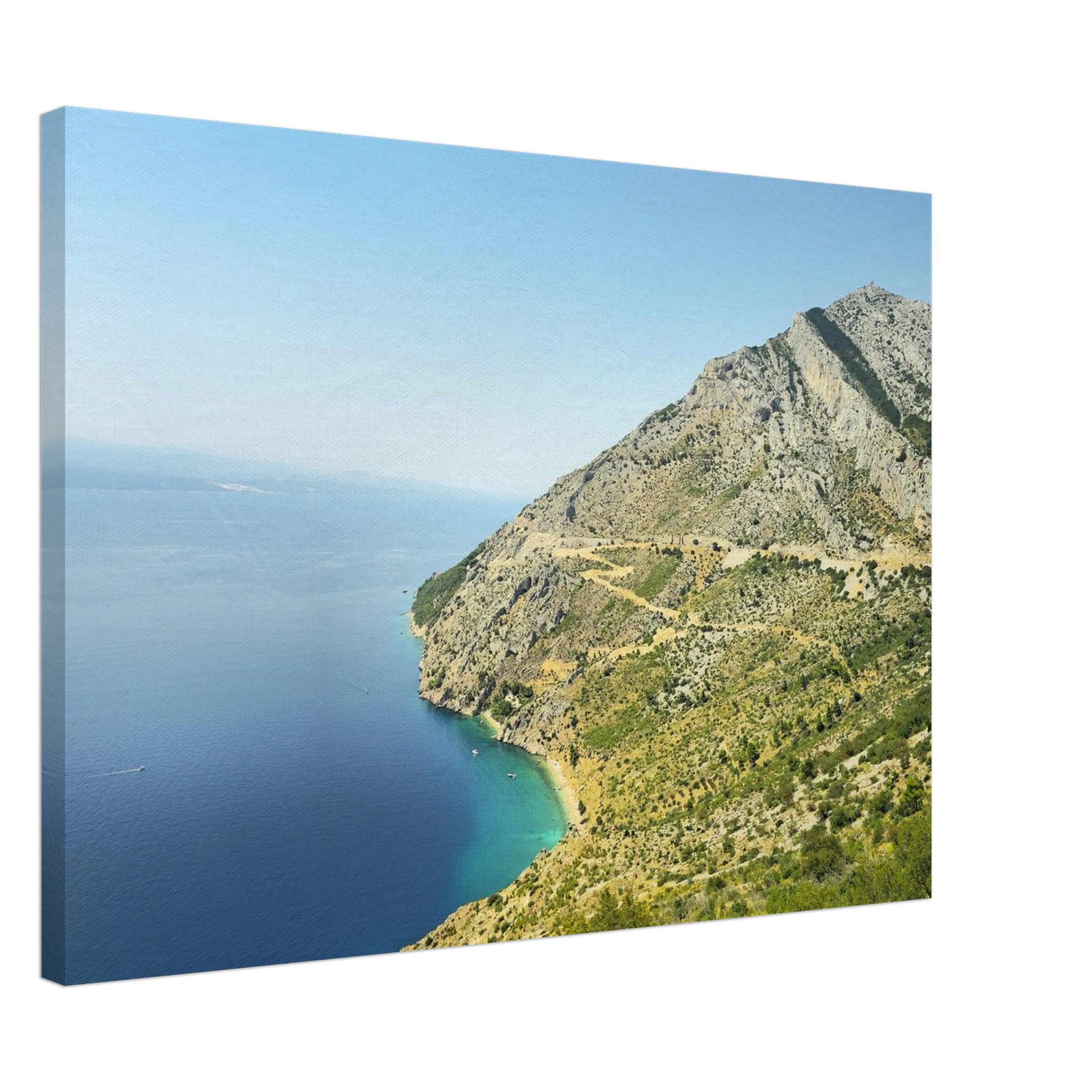 077f732b-9e8a-41a8-8eb1-21b8eee51e08