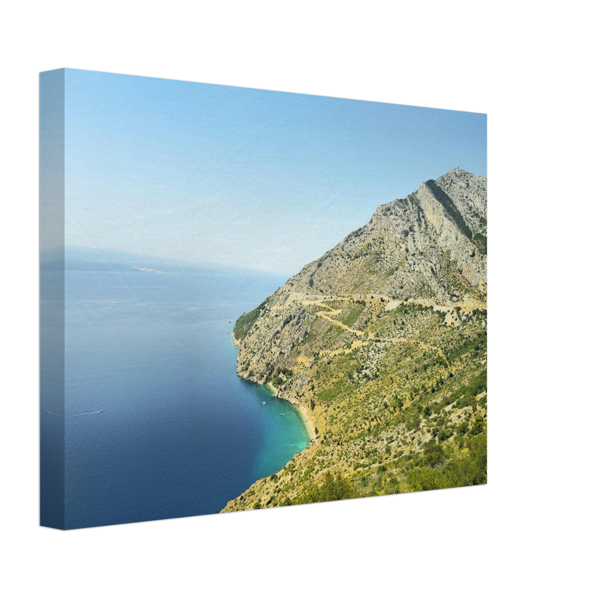 d51879ce-fc0a-4593-9a92-545ef16035ab